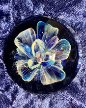 Load image into Gallery viewer, Custom Made to Order Glass Cremation Flower Paperweight